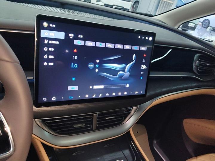 D9 2024 DM-i 980 AWD Premium photo 7