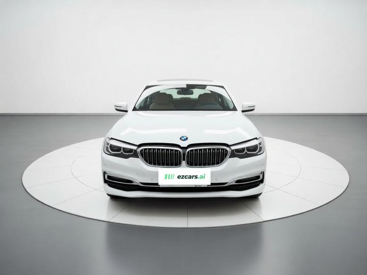 5 Series 2019 530Li Leading Luxury photo 2