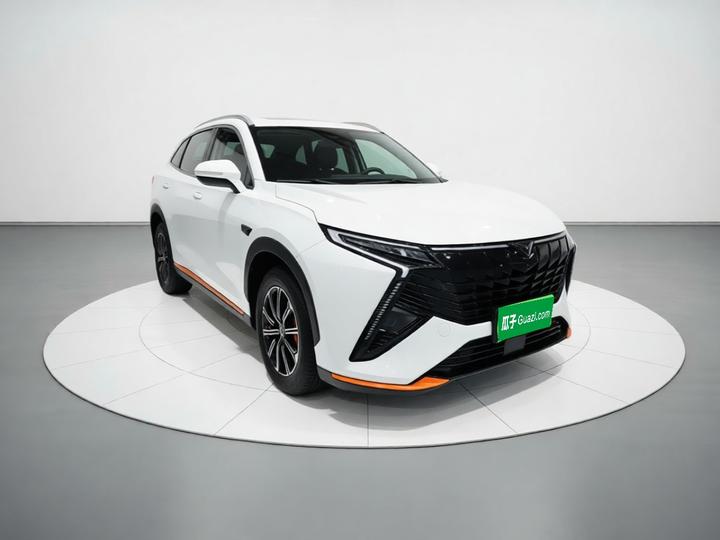 Cowin 2023款 昆仑 300 高原版 photo 3