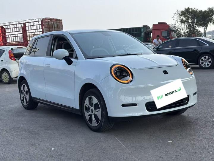 Yiwei 3 2024 330km Lite photo 3