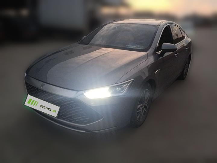 Qin PLUS 2024 Honor DM-i 55KM