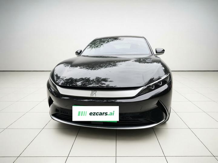 Han 2021 EV Standard Range Luxury photo 2