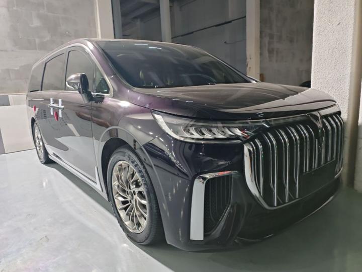 Voyah Dreamer 2024 PHEV Extended Range Flagship photo 3