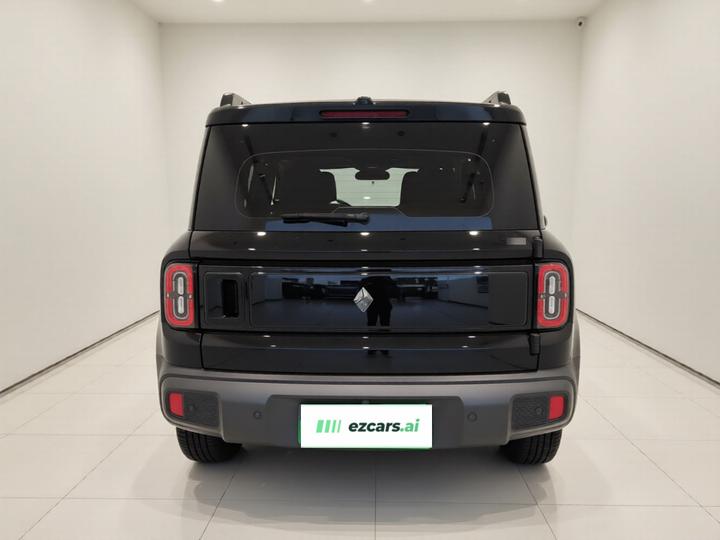 Plus 2024 Smart Premium 4-Seater photo 3