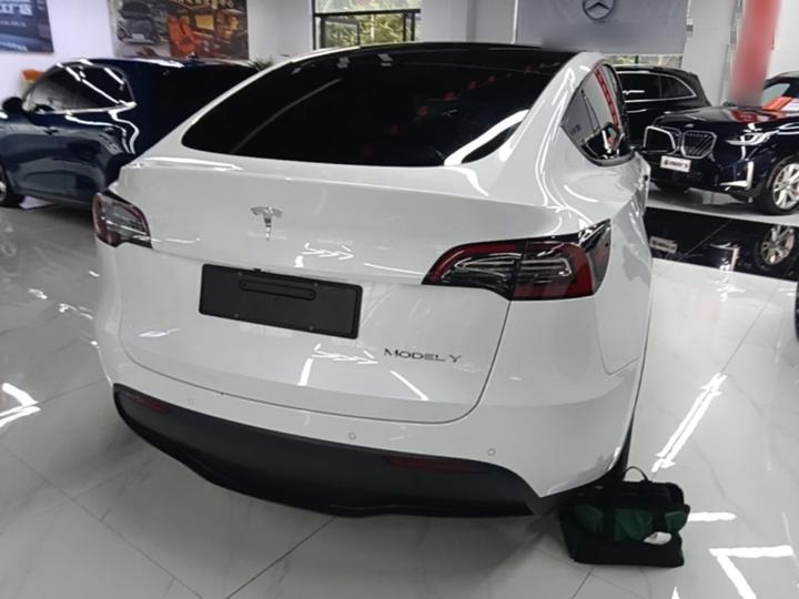 Model Y 2021 Standard Range RWD photo 4