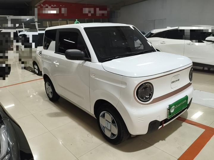 2024 Panda mini 200km Endurance Bear photo 3