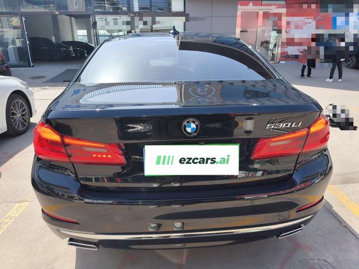 5 Series 2020 530Li Leading Luxury photo 3