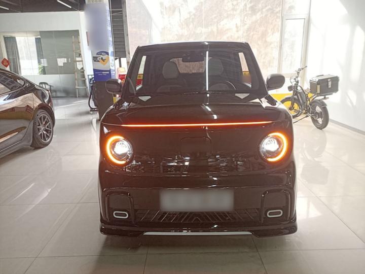 2025 210km Panda photo 2