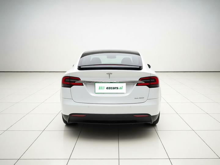Model X 2019 Performance Performance photo 5