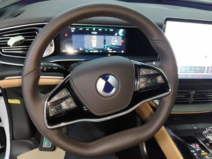 D9 2024 DM-i 980 AWD Noble photo 5