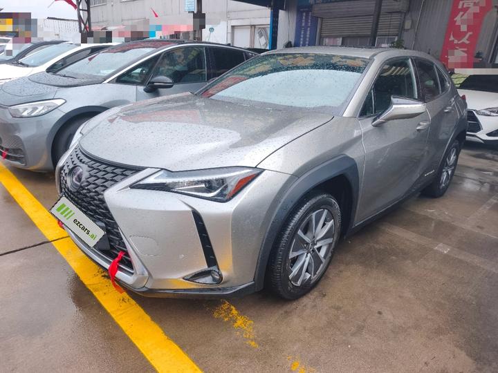 UX EV 2020 300e