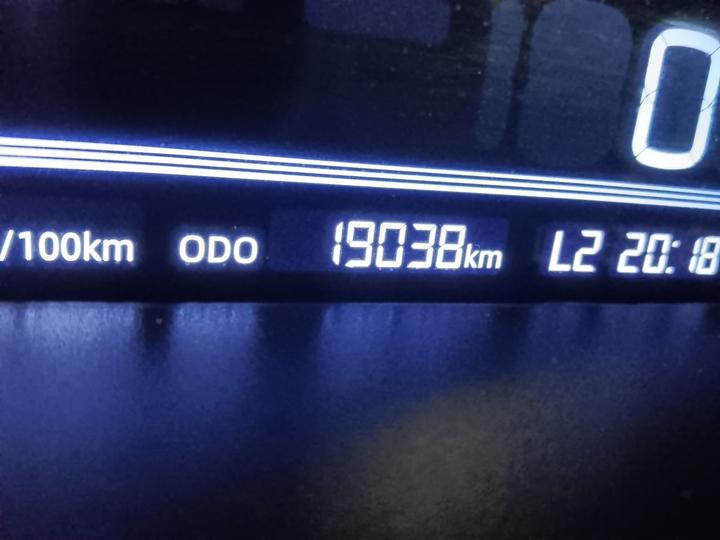 2023 Panda mini 200km Endurance Bear photo 2