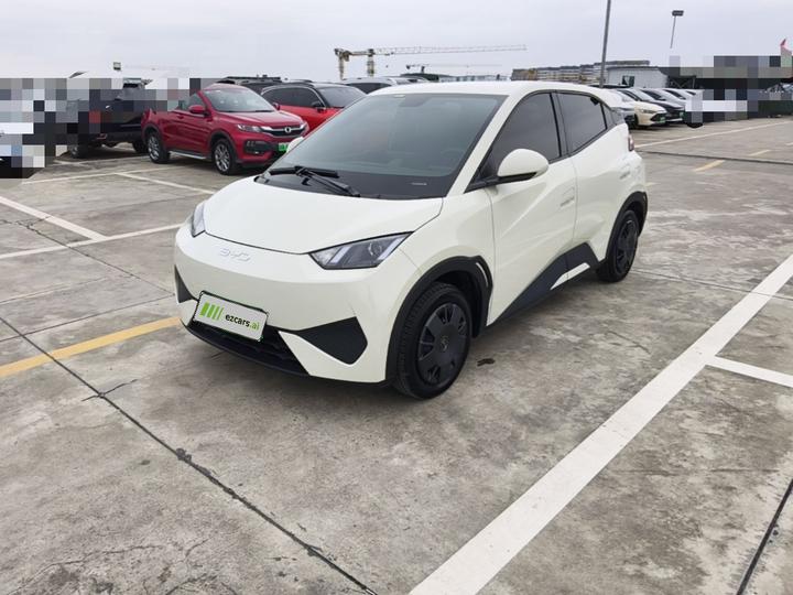 Seagull 2025 ADAS 305km
