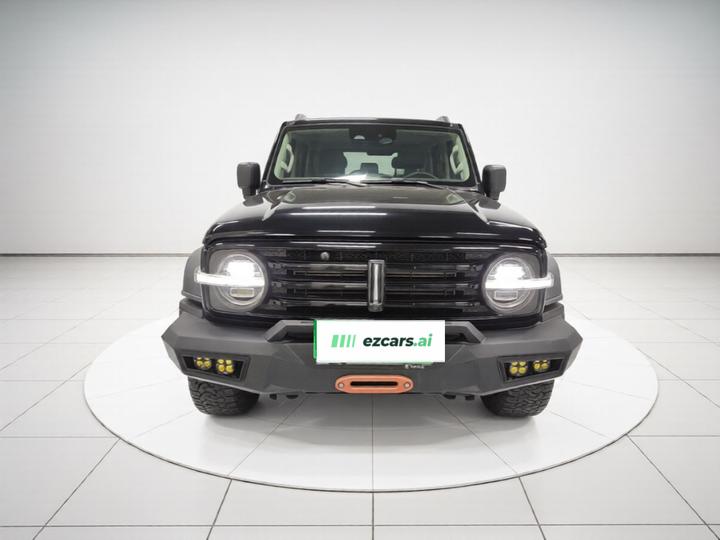300 2021 Off-road 2.0T Conqueror photo 2