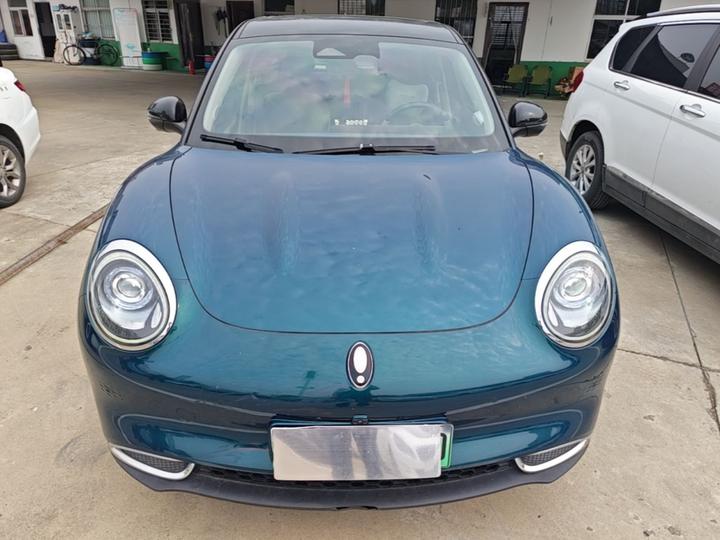 Good Cat 2021 400km Standard Range LFP photo 2