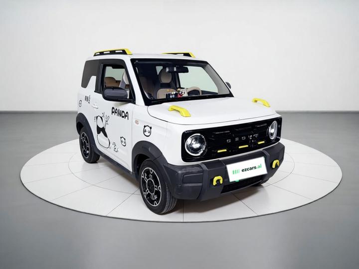 2025 210km Panda photo 3