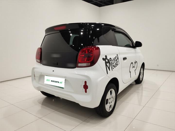 Clever R 2021 302km Excellence photo 6