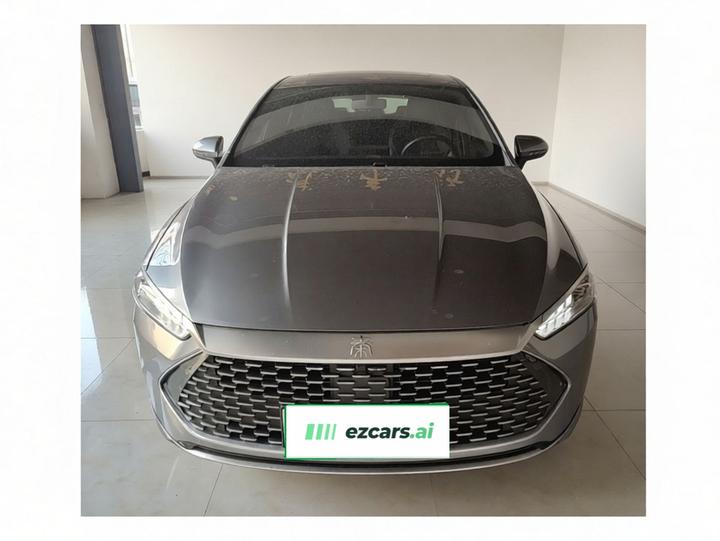 Qin PLUS 2021 DM-i 55KM Flagship photo 2