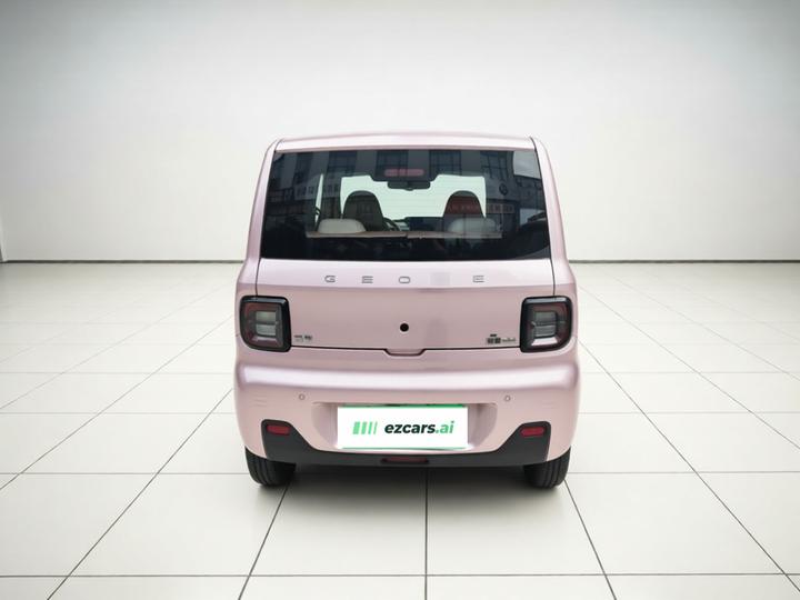 2023 Panda mini 200km Endurance Bear photo 3
