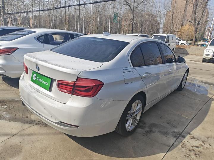 3 Series 2018 318Li photo 4