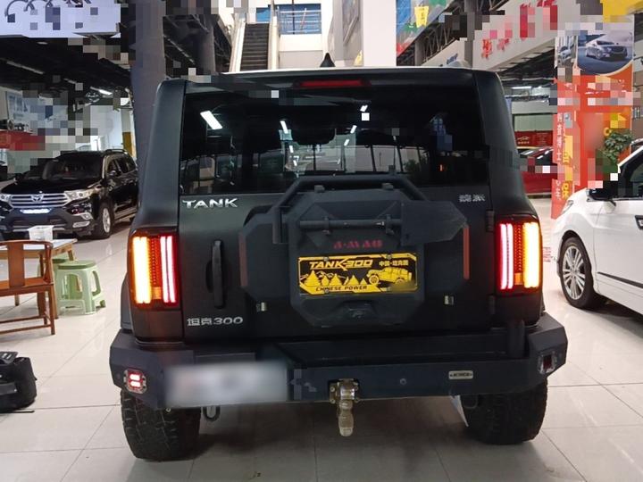 300 2021 Off-road 2.0T Conqueror photo 5