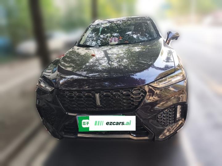VV7 2019 Upgraded 2.0T China VI photo 2