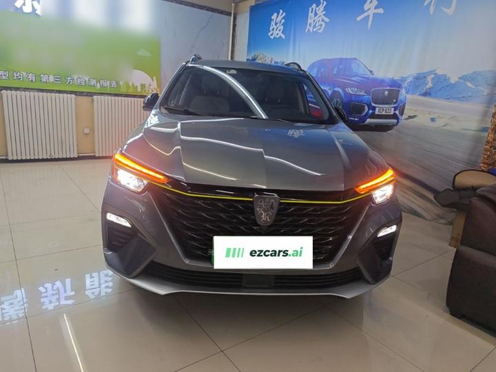 RX5 EV 2020 ePLUS Luxury photo 2