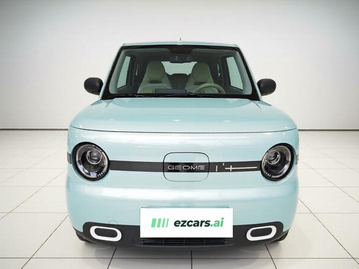 2025 Panda mini 210km Yuan photo 2