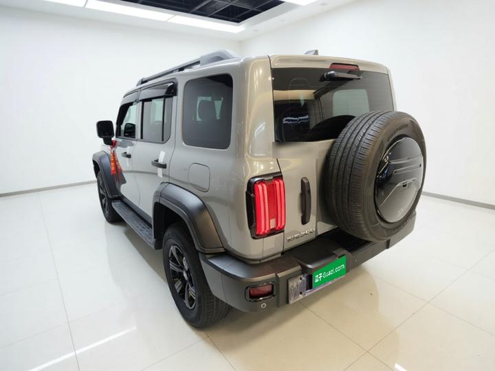 300 2021 Off-road 2.0T Conqueror photo 4