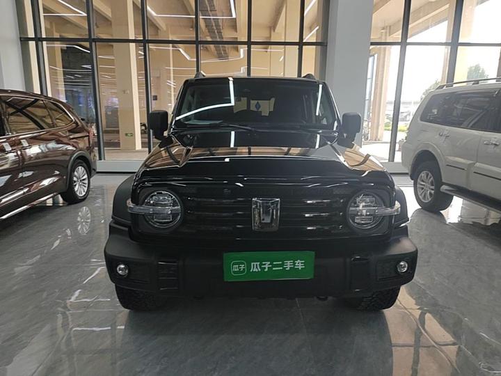 300 2023 Off-road 2.0T Conqueror photo 2