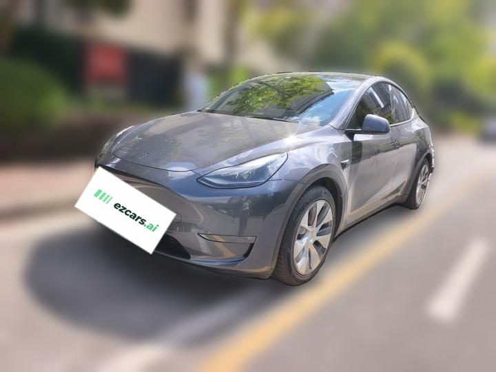 Model Y 2021 Standard Range RWD