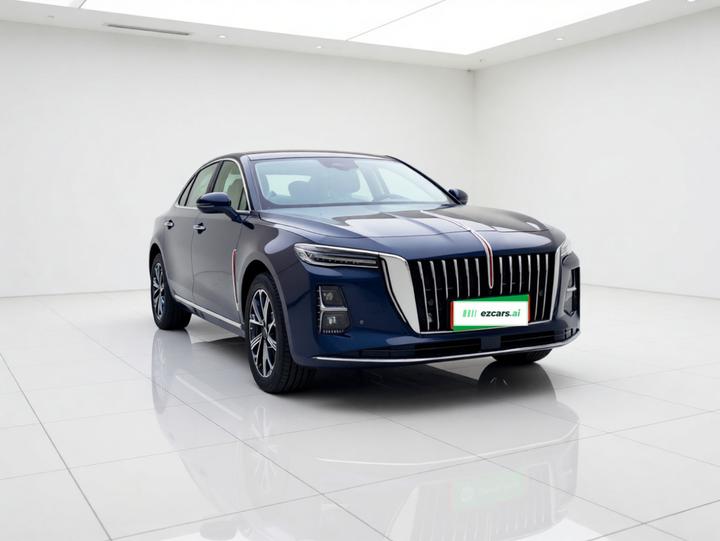 H5 PHEV 2025 170 photo 3