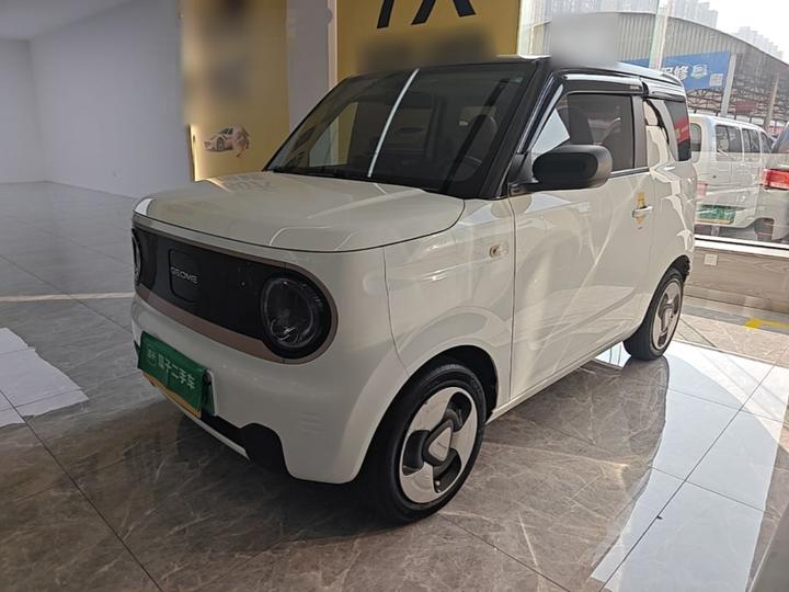 2023 Panda mini