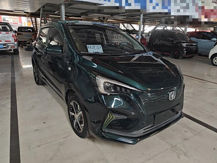 Benni E-Star 2020 Heartbeat LFP 31.18kWh photo 3