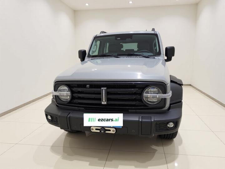 300 2021 Off-road 2.0T Conqueror photo 2