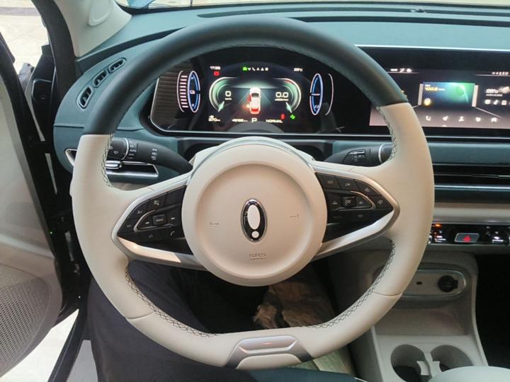 Good Cat 2023 401km Standard Range Luxury LFP photo 6