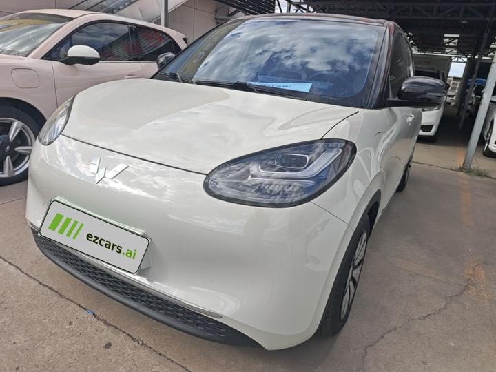 Wuling Bingo 2024 333km
