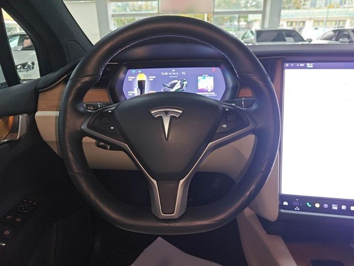 Model X 2019 Long Range photo 6