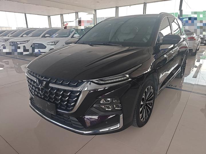 Wuling 2023 2.0L DHT