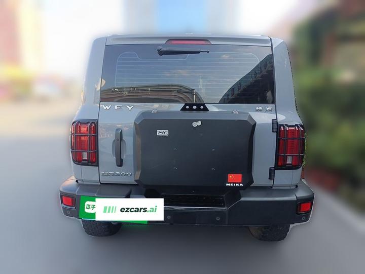 300 2021 Off-road 2.0T photo 5