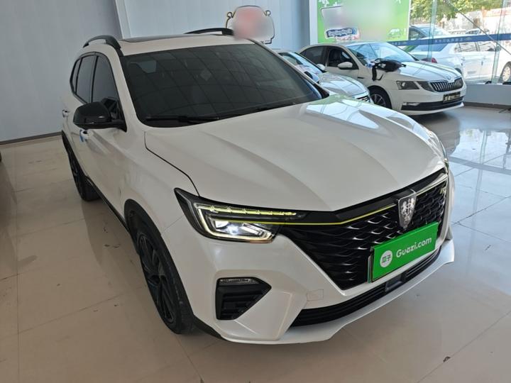 RX5 EV 2020 ePLUS Luxury photo 3