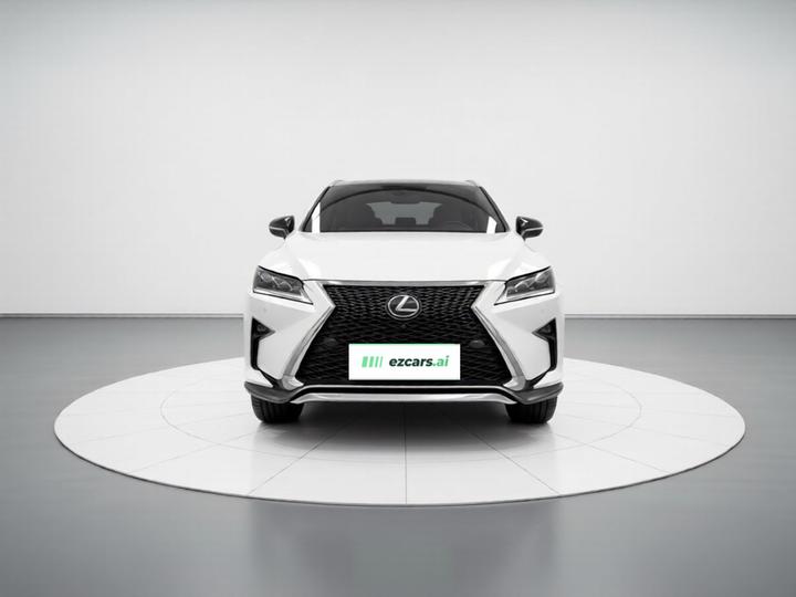 RX 2017 300 Mark Levinson AWD F SPORT China V photo 2