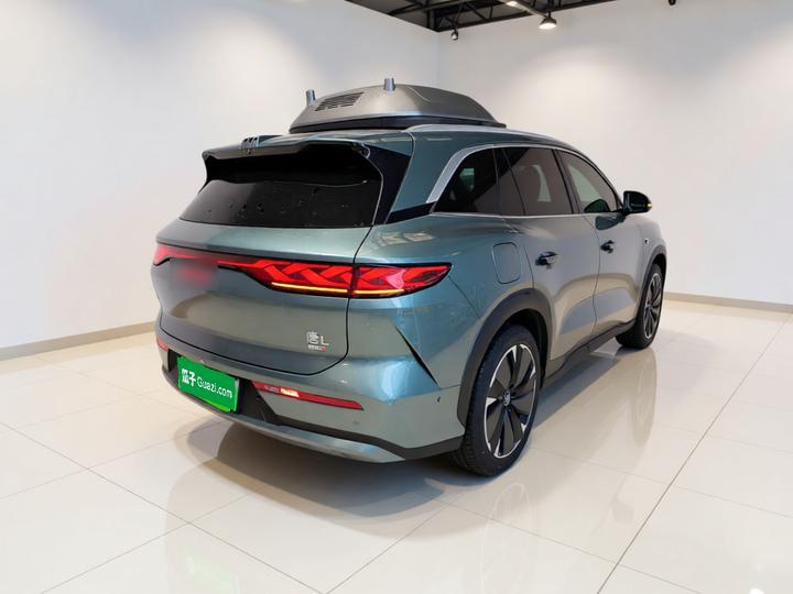 Tang L 2025 DM 175KM photo 4