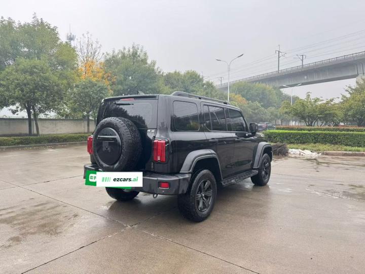 300 2021 Off-road 2.0T Conqueror photo 6