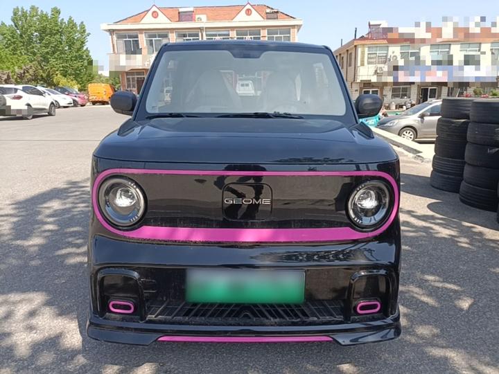 2025 210km Panda photo 2