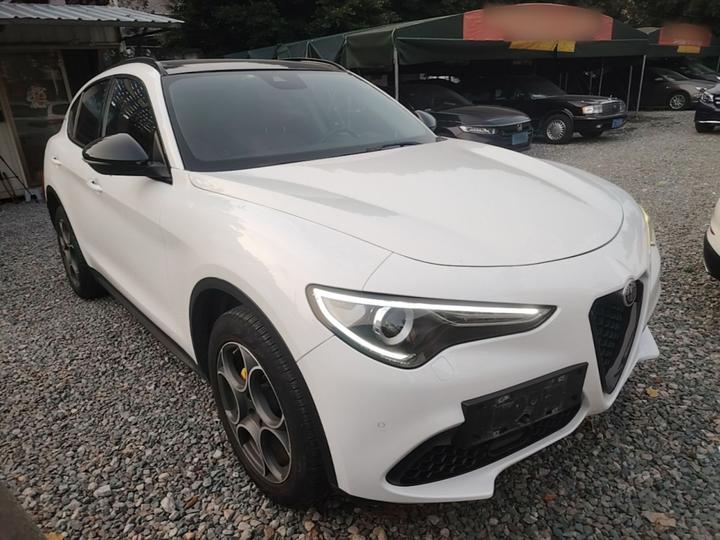 Alfa Romeo Stelvio 2020 2.0T 280HP Luxury photo 3