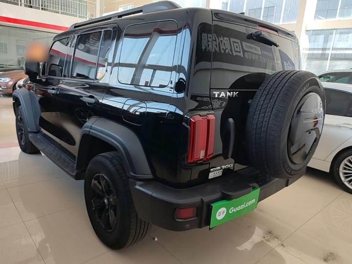 300 2023 Off-road 2.0T Conqueror photo 4