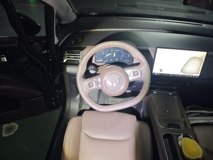 730 EV 2025 125km Luxury photo 8
