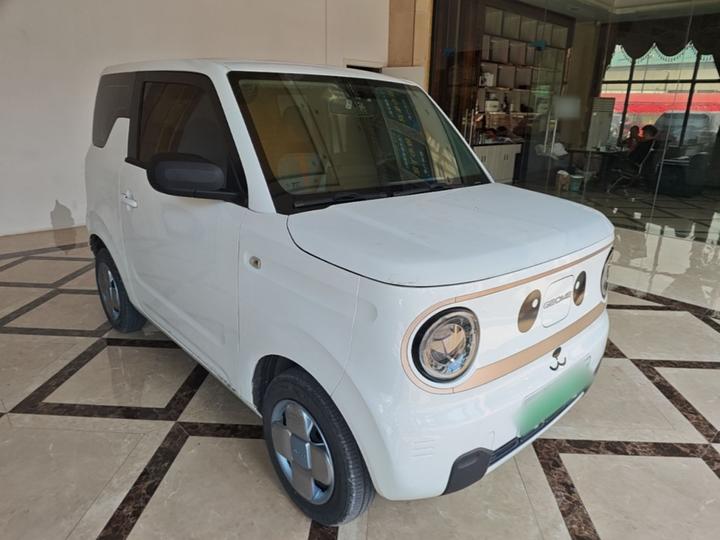 2023 Panda mini 200km Endurance Bear photo 3