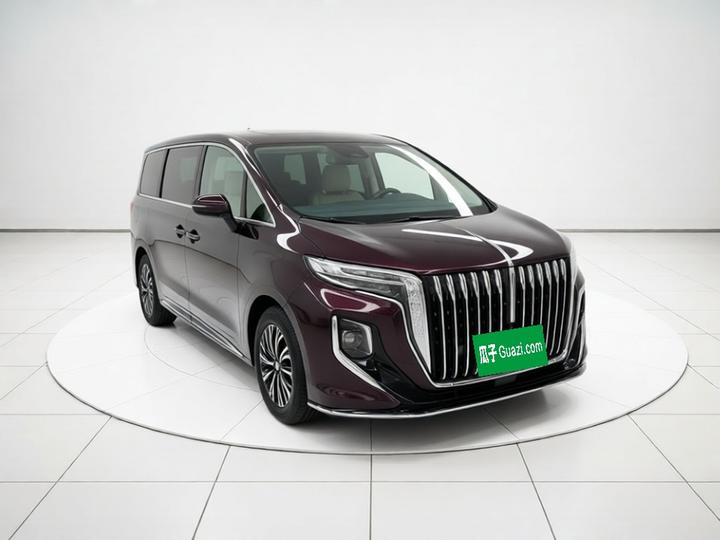 HQ9 PHEV 2024 2.0T AWD Luxury photo 3